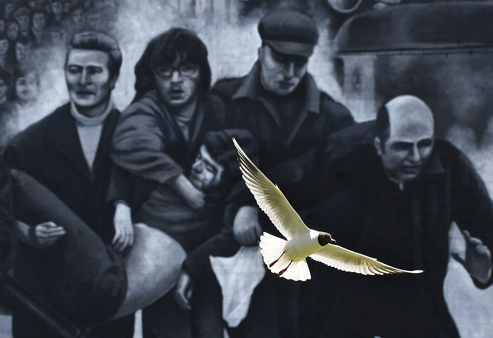 A seagull flies in front of a mural which shows a group of men, led by then-Fr. Edward Daly, right, carrying the body of shooting victim Jackie Duddy during 1972's Bloody Sunday in Derry, Northern Ireland. (CNS/Reuters/Cathal McNaughton)