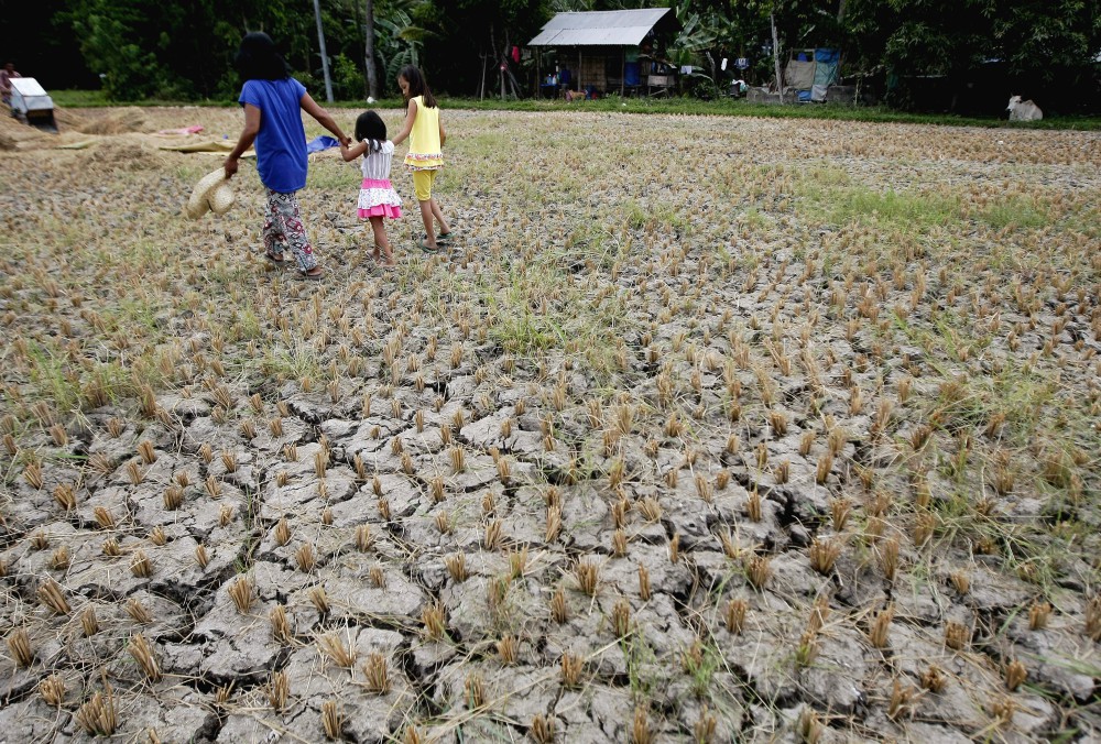 A woman and children walk through a drought-stricken rice field in Cebu, Philippines, in April 2016. (CNS/Reuters/Jay Rommel Labra)