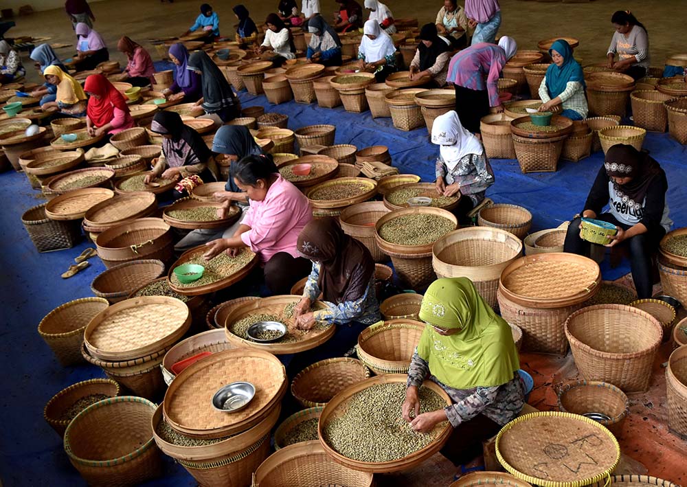 Workers sort coffee beans in Semarang, Indonesia, in 2017. (CNS/Antara, Aditya Pradana Putra via Reuters)