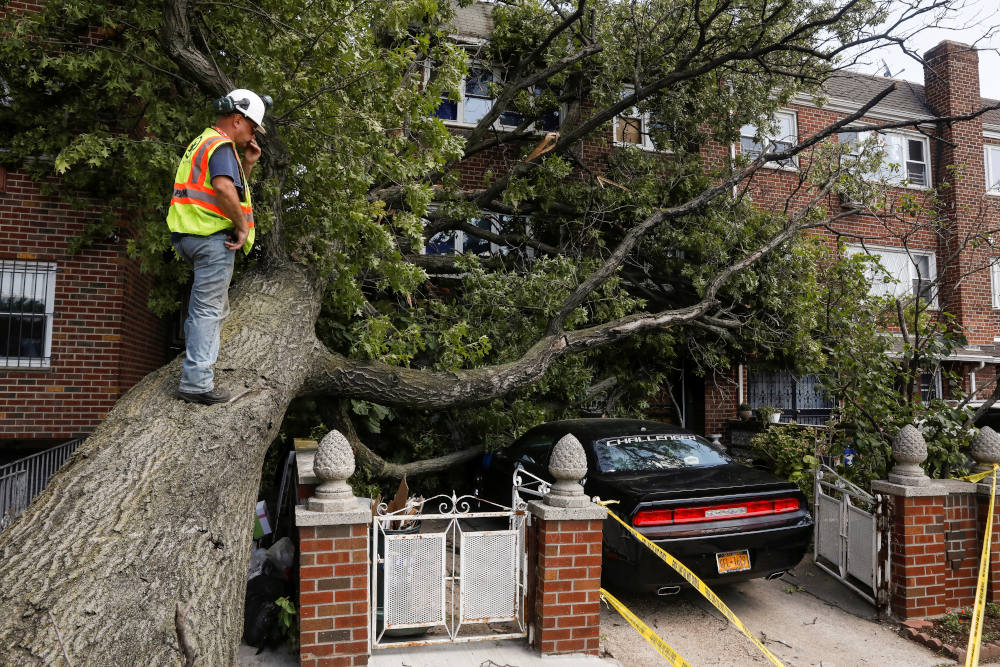 A New York City worker climbs on a tree to look at the damage it has caused to a house and car during the clean-up after Tropical Storm Isaias in Queens, N.Y., Aug. 5, 2020. High winds associated with the storm toppled trees and disabled utility lines in 