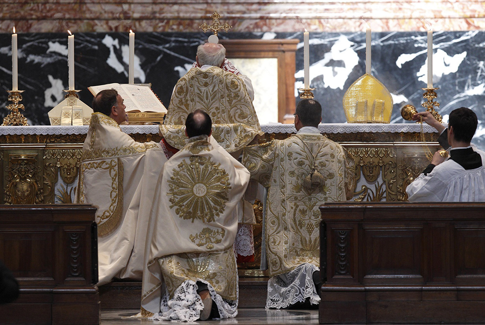 Cardinal Walter Brandmuller elevates the Eucharist during a Tridentine Mass at the Altar of the Chair in St. Peter's Basilica at the Vatican May 15, 2011. (CNS/Paul Haring)