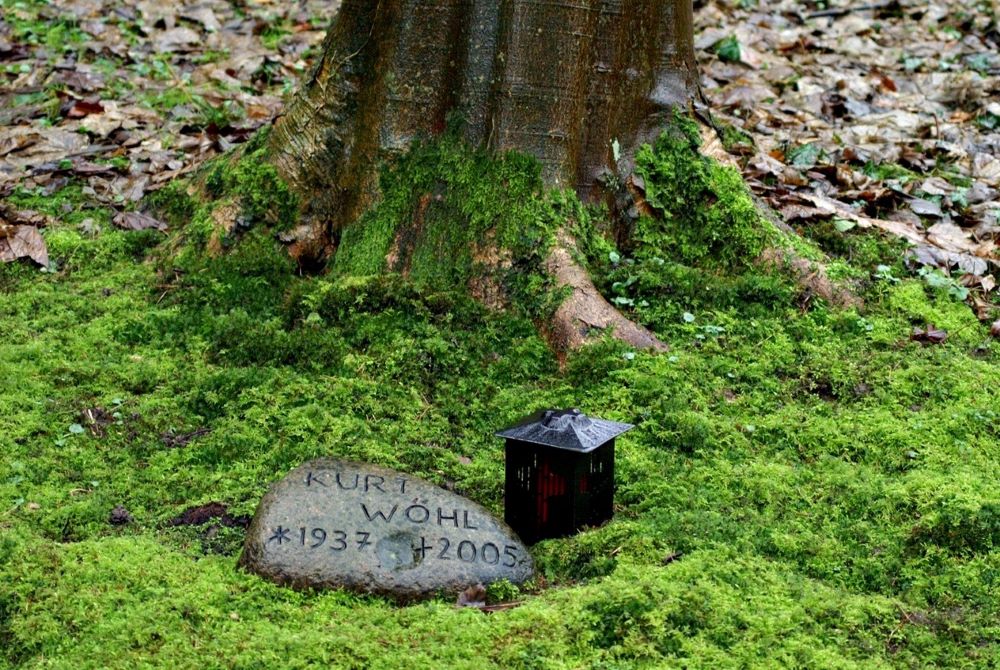 Rock with deceased person's name sits near tree.