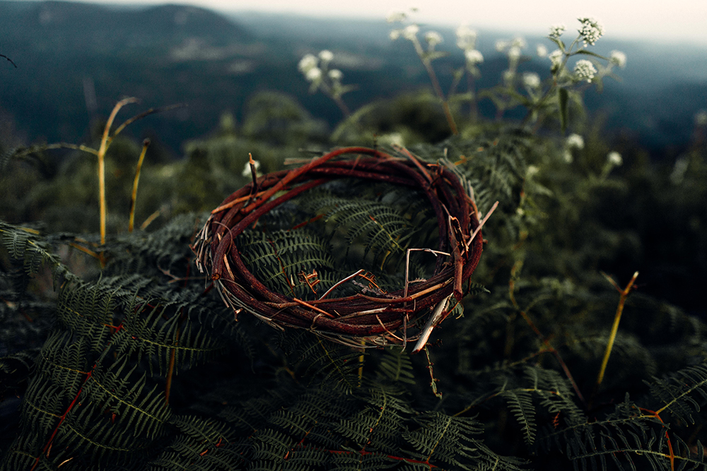 A crown of thorns (Unsplash/Samuel Lopes)