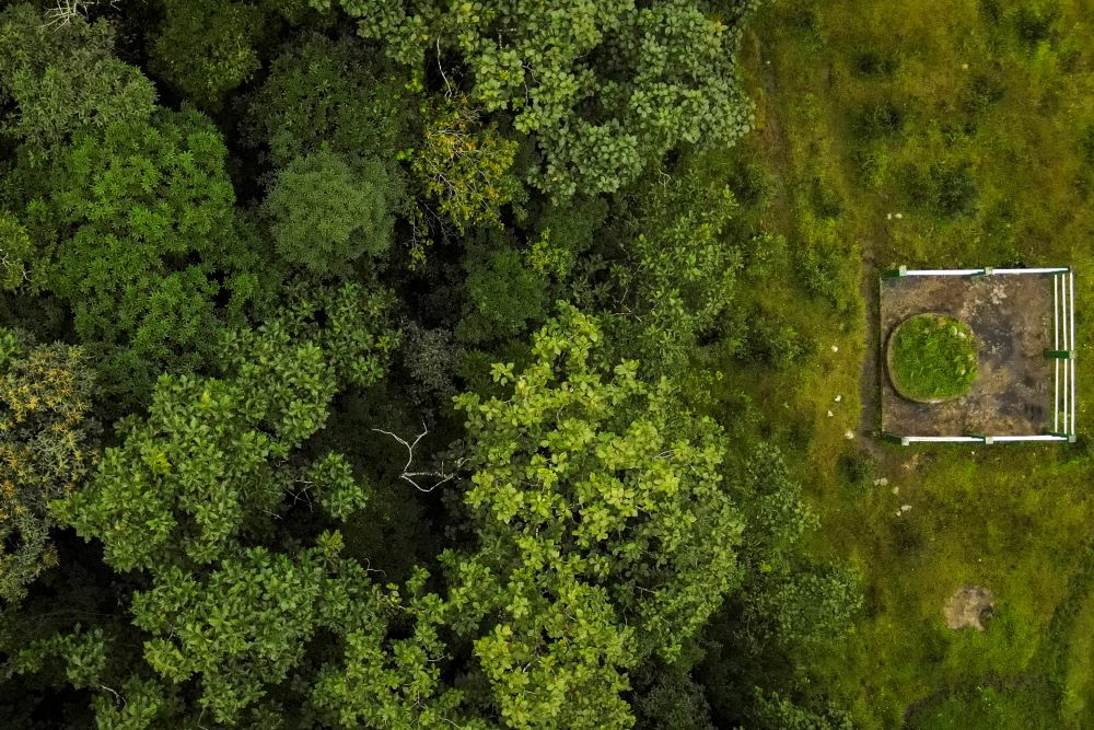 A sacrificial altar where ceremonies are still performed every year sits right outside a sacred forest in Khasi Hills in Meghalaya, a state in northeastern India, Friday, Sept. 8, 2023. (AP Photo/Anupam Nath)