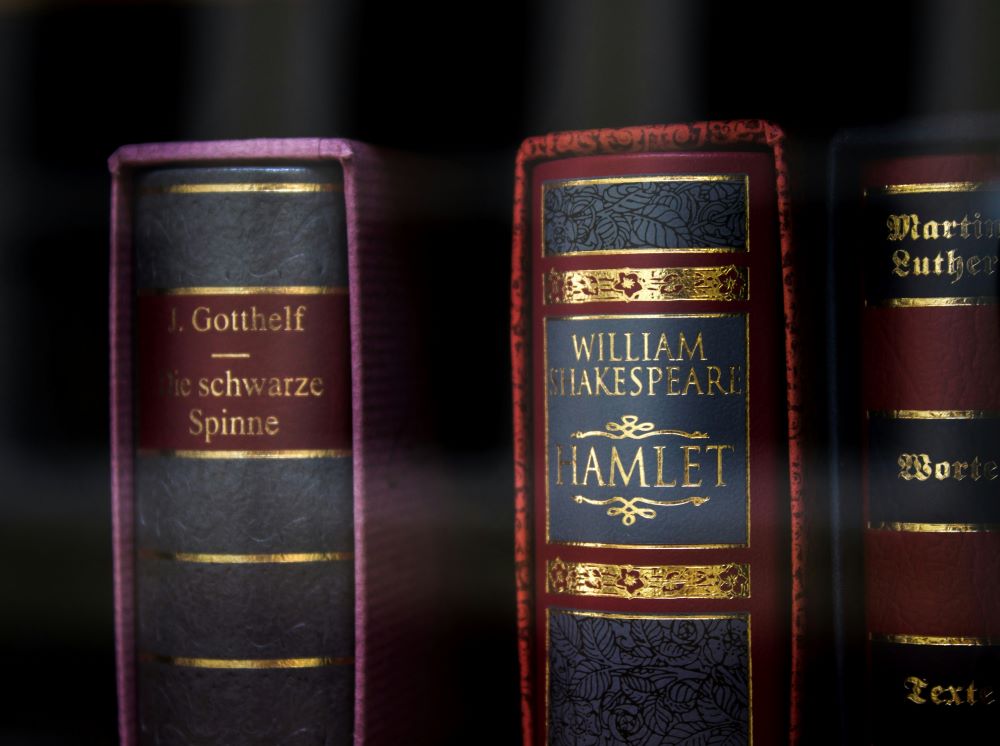 Books on shelf, including "Hamlet."