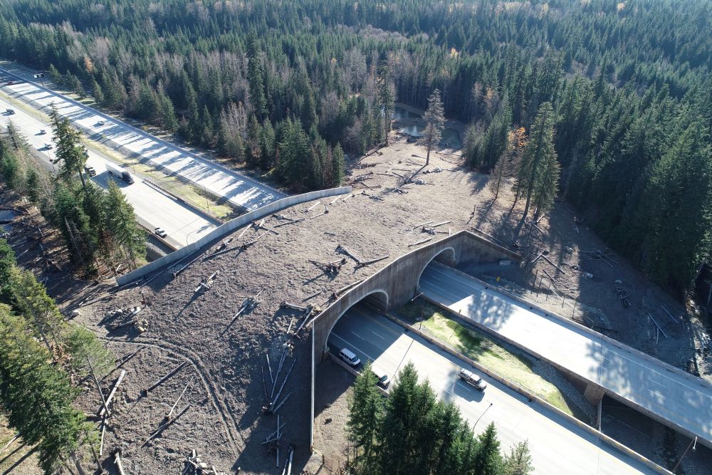 A land bridge crossing for wildlife over Interstate 90 is seen near Snoqualmie Pass, Wash., Oct. 30, 2019. (OSV News photo/Washington State Department of Transportation/Handout via Reuters)