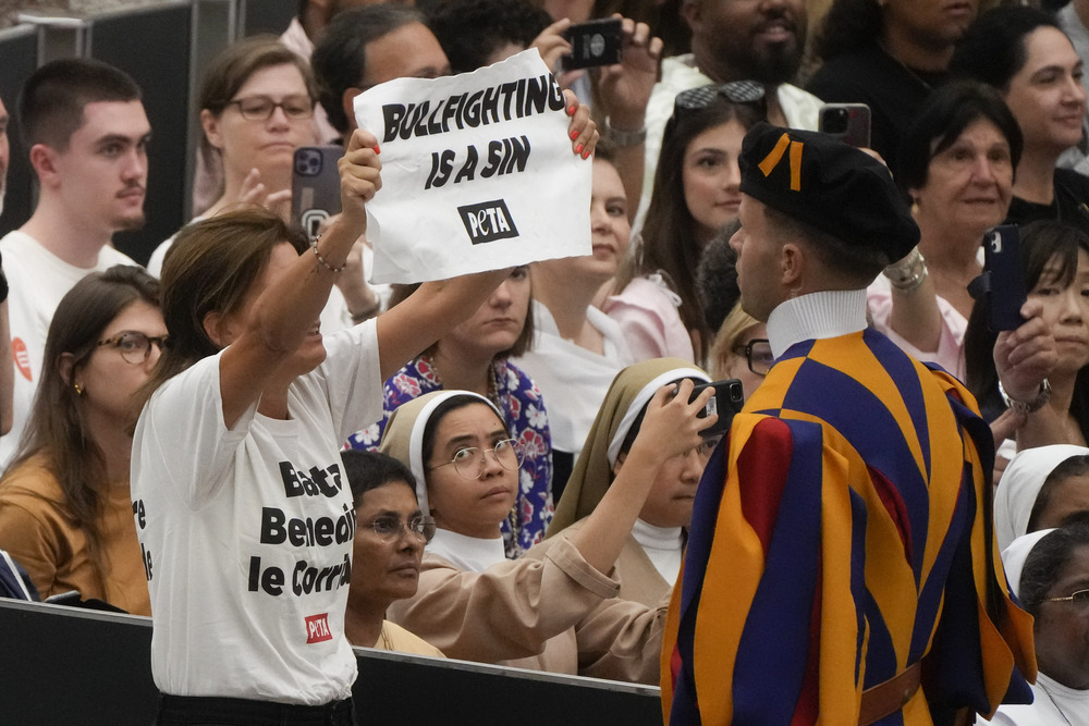 Woman wearing shirt reading "Stop blessing corridas" stares down Swiss Guard and holds up sign reading "Bullfighting is a sin."