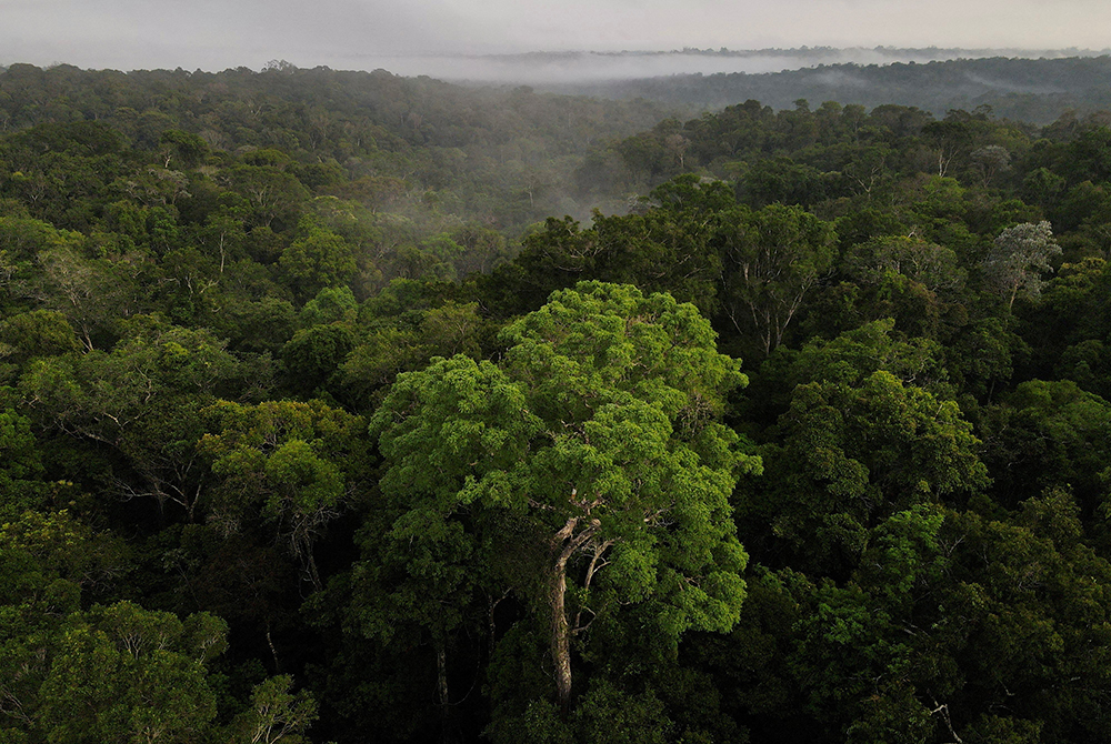 An aerial view shows trees as the sun rises at the Amazon rainforest in Manaus in Brazil's Amazonas state Oct. 26, 2022. (OSV News/Reuters/Bruno Kelly)