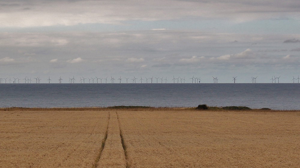 An offshore wind farm in the North Sea (Wikimedia Commons/johnkell)