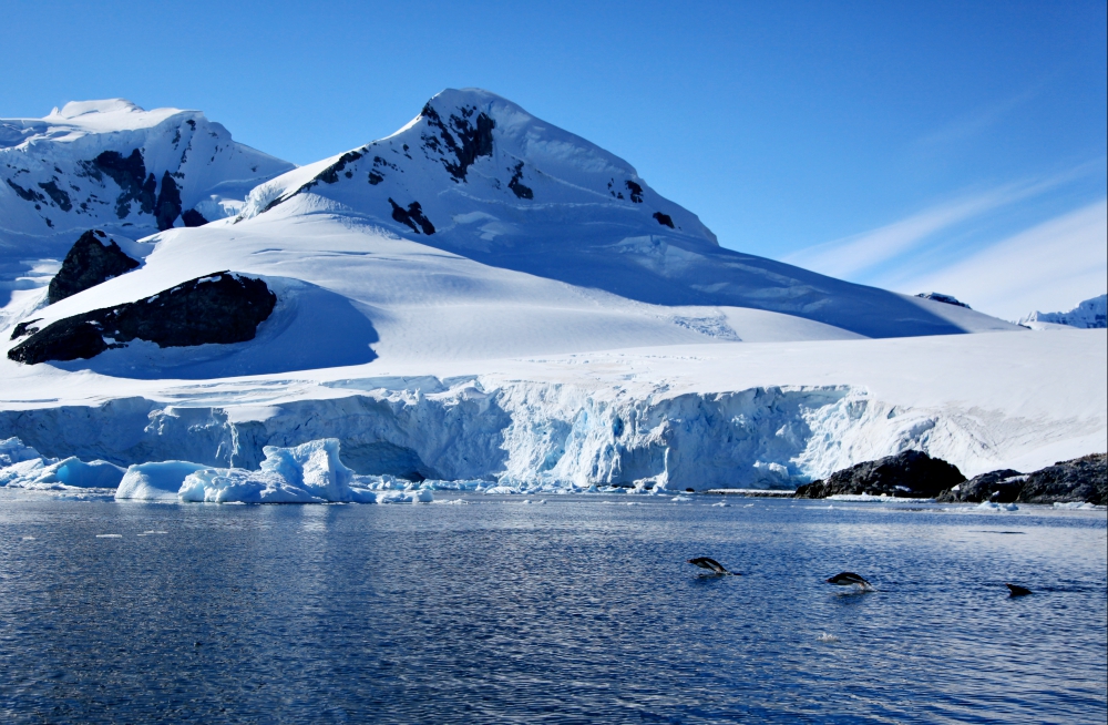 Paradise Harbor, Antarctica (Wikimedia Commons/Liam Quinn)