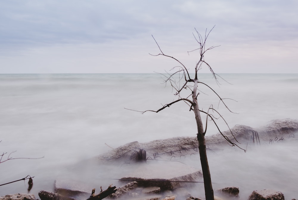 About mid- to late autumn the perma-cloud rolls in off Lake Michigan. Like a migrating fowl, it stays awhile before moving on. (Unsplash/Kayle Kaupanger)