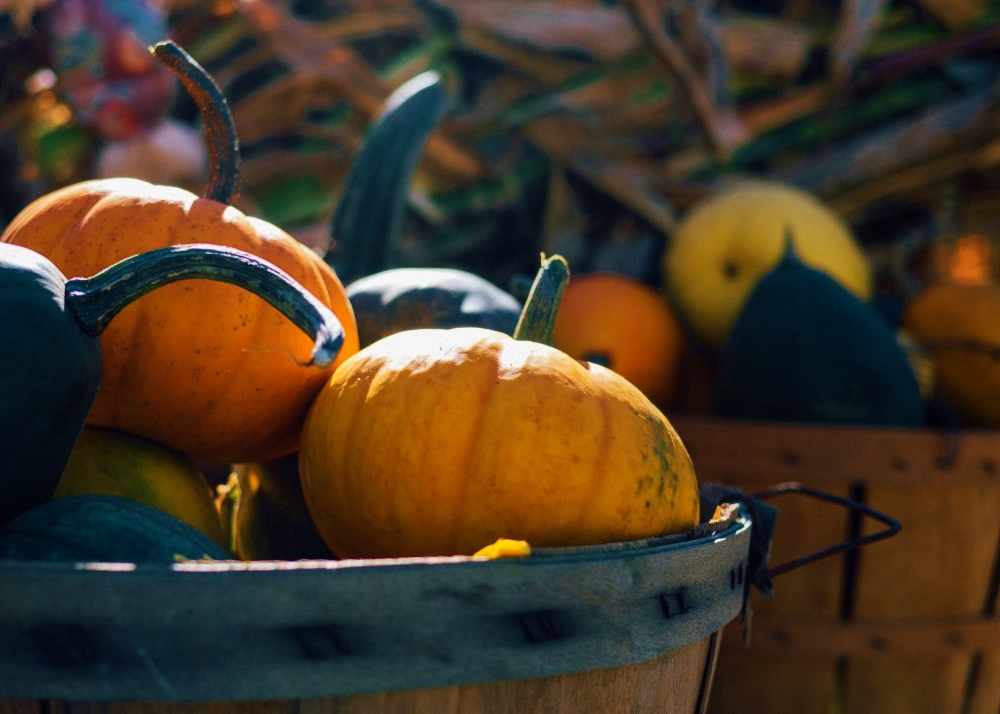 pumpkins