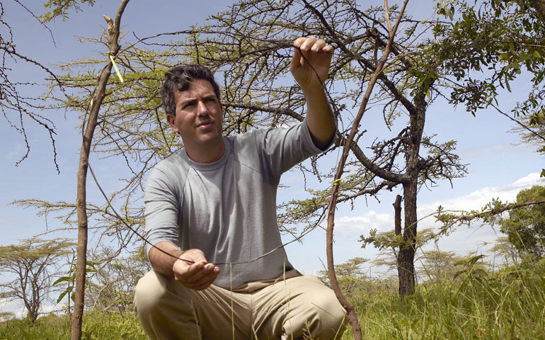 Wayne Pacelle in Kenya’s Tsavo National Park in 2005 (Dreamstime/Americanspirit)