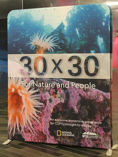 Nations are considering a proposal to conserve 30% of lands and marine areas by 2030 as part of a global biodiversity framework under negotiations at COP15 in Montreal. (NCR photo/Brian Roewe)