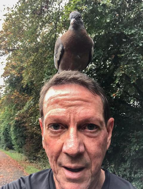 Tobias Winright and "Pippa," the wood pigeon (Courtesy of Tobias Winright)