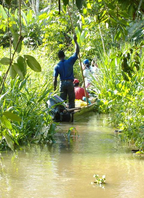 For many who live in Colombia's Choco region, the Atrato River and its tributaries is many things: transport system, economic hub, recreational center and cultural site. (Courtesy of ABColombia) 