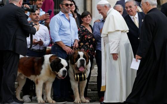 Pope Francis greets dog owners during his general audience in St. Peter's Square at the Vatican in this Sept. 19, 2018, file photo. (CNS/Paul Haring)