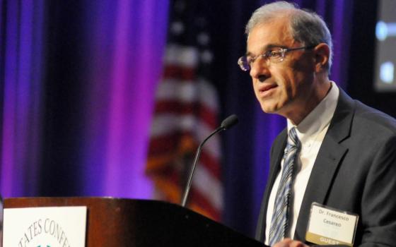 Francesco Cesareo, chairman of the National Review Board, speaks June 14, 2017, during the opening session of the U.S. Conference of Catholic Bishops' annual spring assembly in Indianapolis. (CNS/The Criterion/Sean Gallagher)