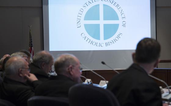 Bishops meet at the headquarters of the U.S. Conference of Catholic Bishops in Washington, D.C., in January 2018. (CNS/Tyler Orsburn)