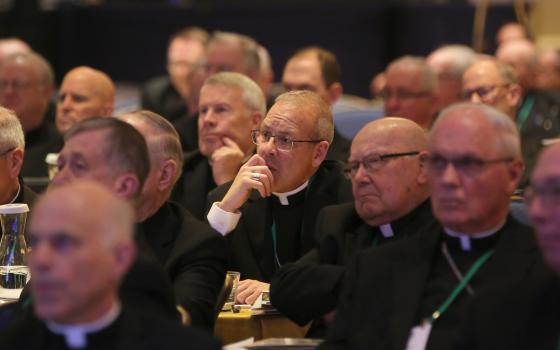 Bishops listen to a speaker Nov. 14 at the fall general assembly of the U.S. Conference of Catholic Bishops in Baltimore. (CNS/Bob Roller)