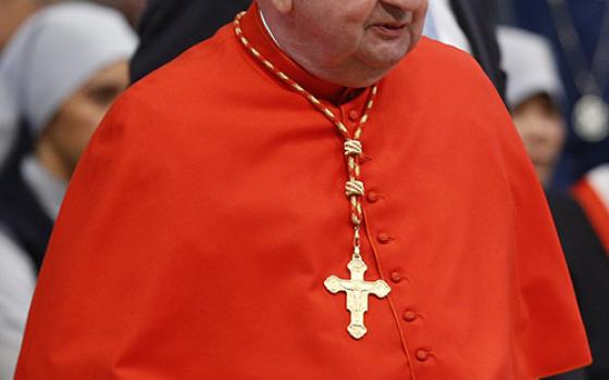 Cardinal Stanislaw Dziwisz of Krakow, Poland, at the Vatican in 2018 (CNS/Paul Haring)