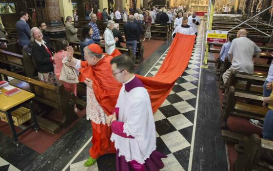 U.S. Cardinal Raymond Burke waves to the congregation after celebrating Mass at Sts. Peter and Paul Church in Cork City, Ireland, July 7. (CNS/Cillian Kelly)