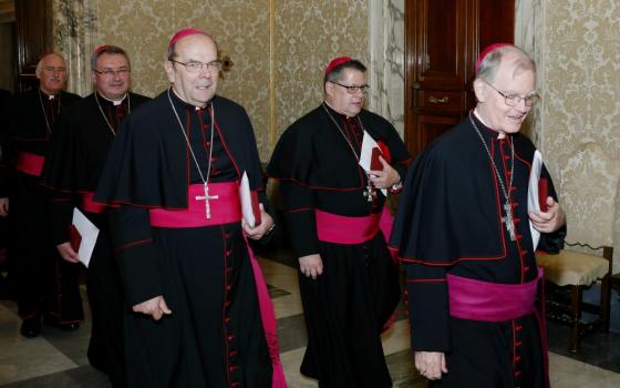 U.S. bishops from the state of New York walk through the Apostolic Palace after meeting Pope Francis at the Vatican Nov. 15. (CNS/Paul Haring)