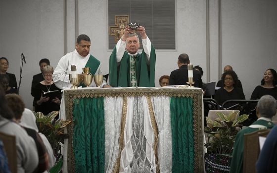 Cardinal Blase Cupich of Chicago celebrates the opening Mass Jan. 25, 2020, at the Catholic Social Ministry Gathering in Washington. (CNS/Tyler Orsburn)