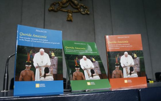 Copies of Pope Francis' apostolic exhortation, "Querida Amazonia" ("Beloved Amazonia"), are pictured at a news conference for the release of the exhortation at the Vatican Feb. 12. (CNS/Paul Haring)