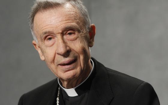 Cardinal Luis Ladaria, prefect of the Congregation for the Doctrine of the Faith, speaks at a 2018 news conference at the Vatican. (CNS/Paul Haring)