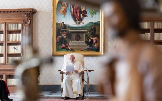 Pope Francis leads his general audience in the library of the Apostolic Palace at the Vatican Nov. 25. (CNS/Vatican Media)