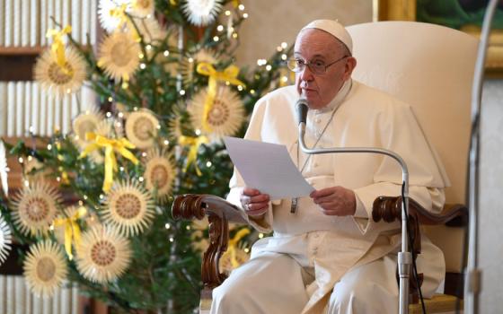 Pope Francis leads his general audience in the library of the Apostolic Palace at the Vatican Dec. 16. (CNS/Vatican Media)