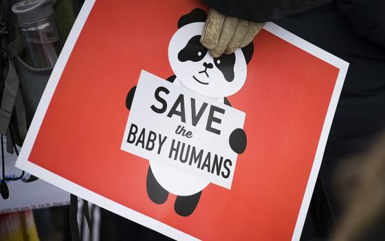 A pro-life sign is displayed during the 2019 annual March for Life rally in Washington. (CNS/Tyler Orsburn)