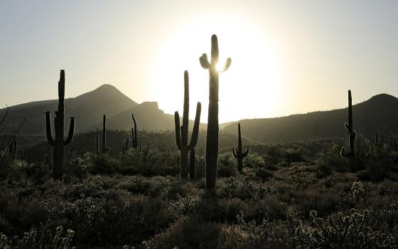 The sun sets behind a desert view in the Spur Cross Ranch Conservation Area in Cave Creek, Arizona. Jesus' desert sojourn began immediately after his baptism where he heard God proclaim, "You are my beloved Son; with you I am well pleased." (CNS/Nancy Wie