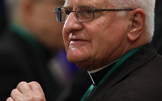 Auxiliary Bishop Edward Grosz of Buffalo, New York (CNS/Bob Roller)