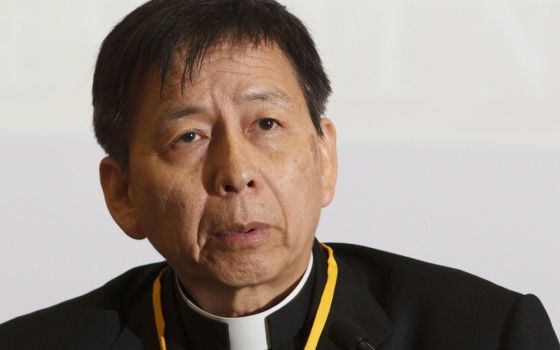 Chinese Archbishop Savio Hon Tai-Fai, the Vatican's nuncio to Greece, is pictured in Rome Nov. 11, 2011. (CNS /Paul Haring)