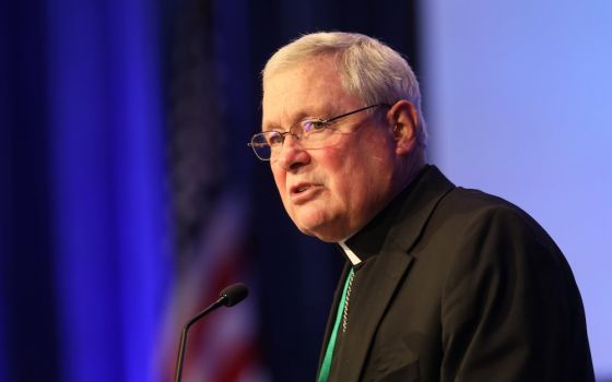 Bishop David Malloy of Rockford, Illinois, chairman of the U.S. Conference of Catholic Bishops' Committee on International Justice and Peace, speaks Nov. 16 during a session of the bishops fall general assembly in Baltimore. (CNS/Bob Roller)