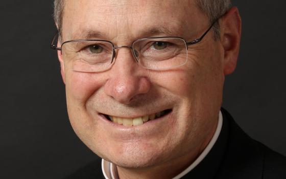 Bishop David J. Malloy of Rockford, Ill., chairman of the U.S. Conference of Catholic Bishops' Committee on International Justice and Peace, is seen in this file photo. (CNS photo/Nancy Wiechec)