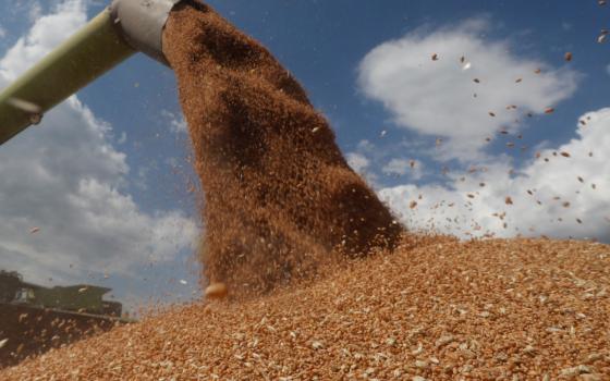 A combine harvester near Hrebeni, Ukraine, loads a truck with wheat July 17, 2020. (CNS/Ruters/Valentyn Ogirenko)