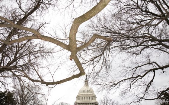 The U.S. Capitol is seen in Washington March 31, 2022. (CNS/Reuters/Tom Brenner)