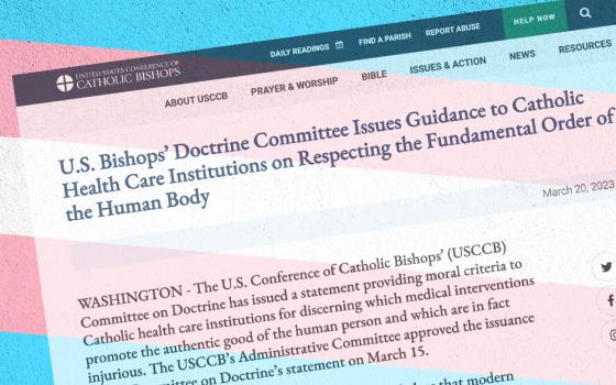 Overlay: The website of the U.S. Conference of Catholic Bishops displays the Doctrine Committee's statement for Catholic health care institutions regarding medical treatments for transgender persons. (NCR screenshot; trans flag illustration by Dreamstime/Avictorero)