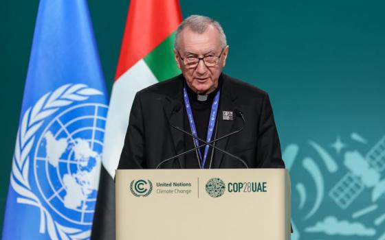 Cardinal Pietro Parolin speaks at COP27