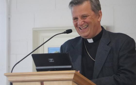 Cardinal Grech stands at lectern.