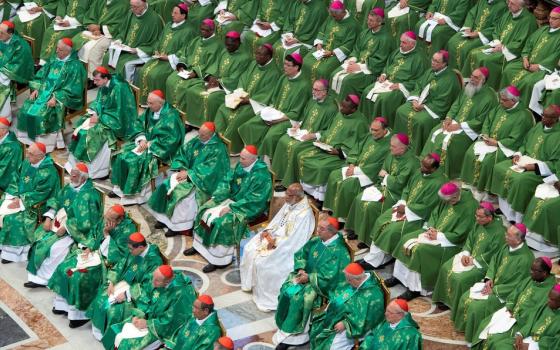 Bishops, vested for Ordinary Time, sit in vast assembly pictured from above. 