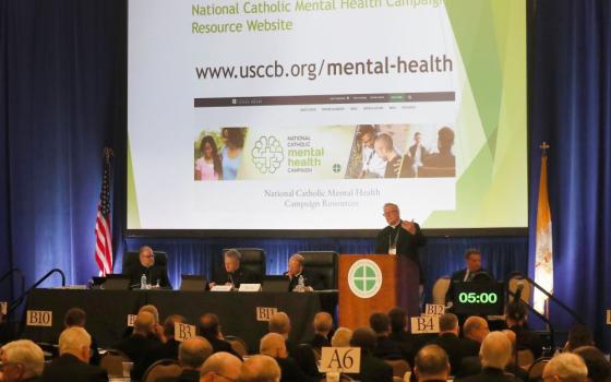 Bishop Robert Barron of Winona-Rochester, Minn., speaks June 13 at the U.S. Conference of Catholic Bishops' Spring Plenary Assembly in Louisville, Ky. (OSV News/Bob Roller)