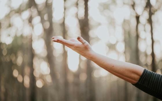 A photo illustration depicts someone reaching out with their hands in a daytime, outdoor forest setting. (Unsplash/Natalie Grainger)