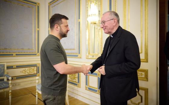 Parolin and Zelenskyy shake hands. 