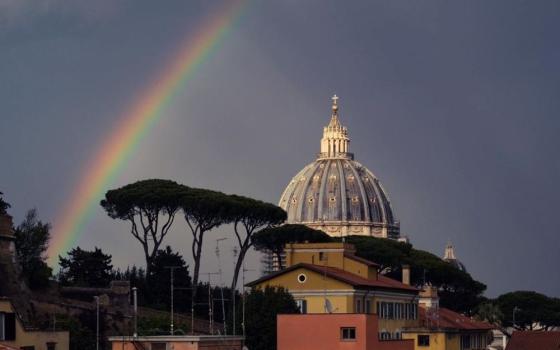 More than 300,000 umbrella pine trees dot Rome's streets and skyline. The Vatican is home to some 150 umbrella pine trees. (Courtesy of Mary Shovlain)