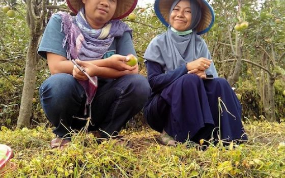 farmers in a field