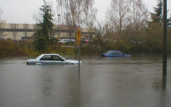 car in flood